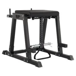 Mirafit M4 Reverse Hyper